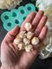 Silikonowa forma popcornu SF21250503001 фото 8