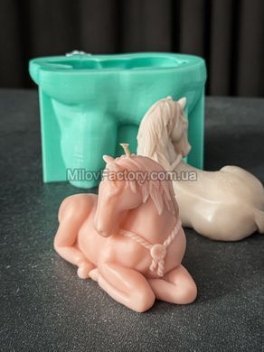 Silicone mold Horse lying down + holders