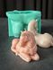 Silicone mold Horse lying down + holders