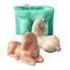 Silicone mold Horse lying down + holders