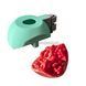 Silicone mold Quarter pomegranate + holders