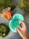 Silicone form Amanita hutyn L