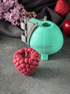Силиконовая форма Малина L + опалубка SF23260306001 фото