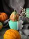 Silicone mold Pumpkin Ronnie + formwork