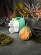 Silicone mold Pumpkin Ronnie + formwork