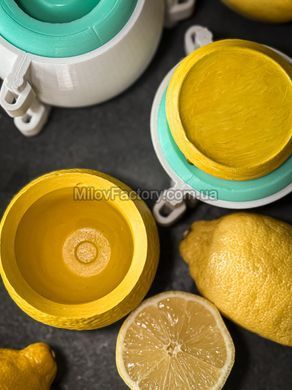 Silicone mold Planter Lemon + lid + formwork