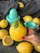Silicone mold Planter Lemon + lid + formwork