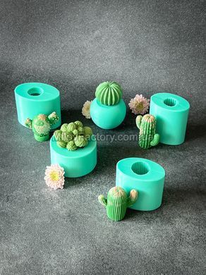 Forma silikonowa Eriocactus SF12240404001-2 фото