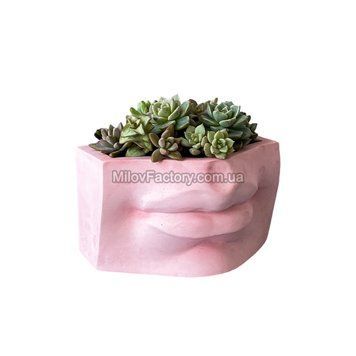 Silicone form of David's Lips - a planter
