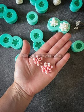 Silicone Mold Succulents Echeveria Parva and Pachyphytum xs